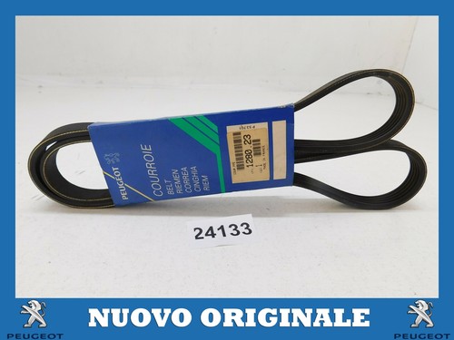 Poly ribbed belt - poly-v, v-ribbed
